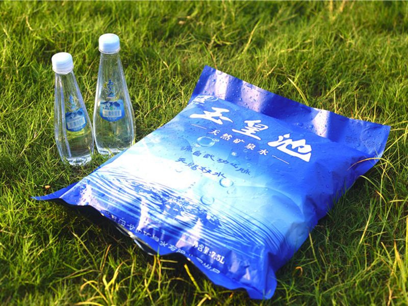 袋装水