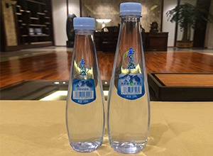 芦溪县伊戈尔矿泉水有限公司